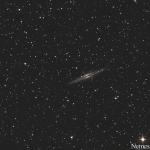 GuyR-NGC891