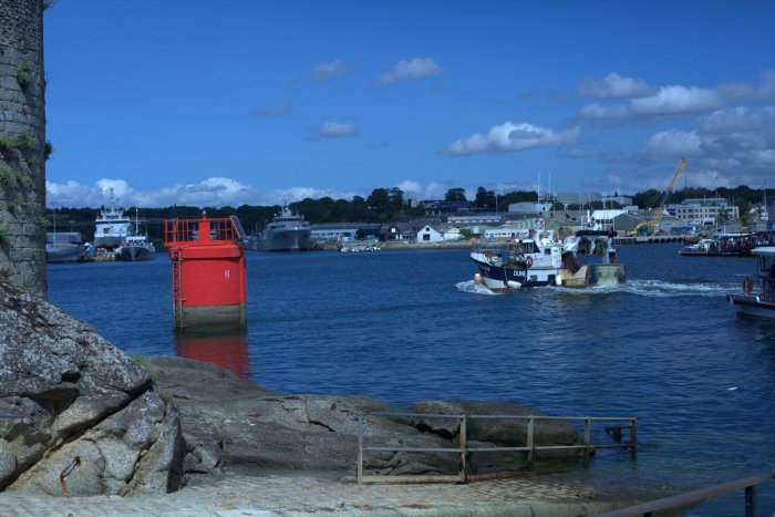 _MP_9442